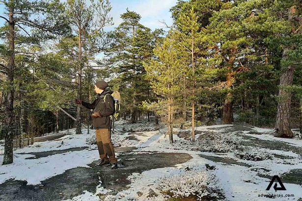 guide talking about trees in taiga finland