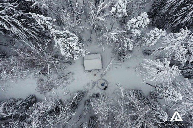 aerial view of winter taiga forest trees in finland