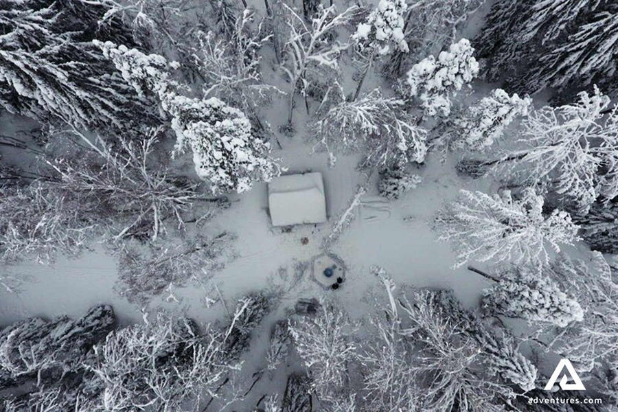 aerial view of winter taiga forest trees