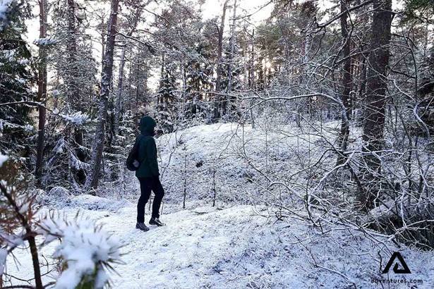 hiker walking in a snowy finnish forest in winter