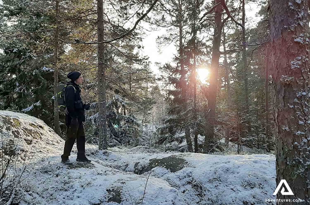 man walking around taiga pine forest in finland