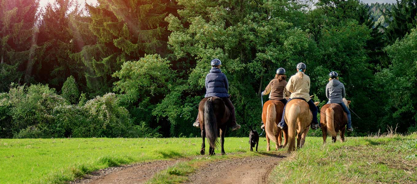 Horseback Riding Tours Finland