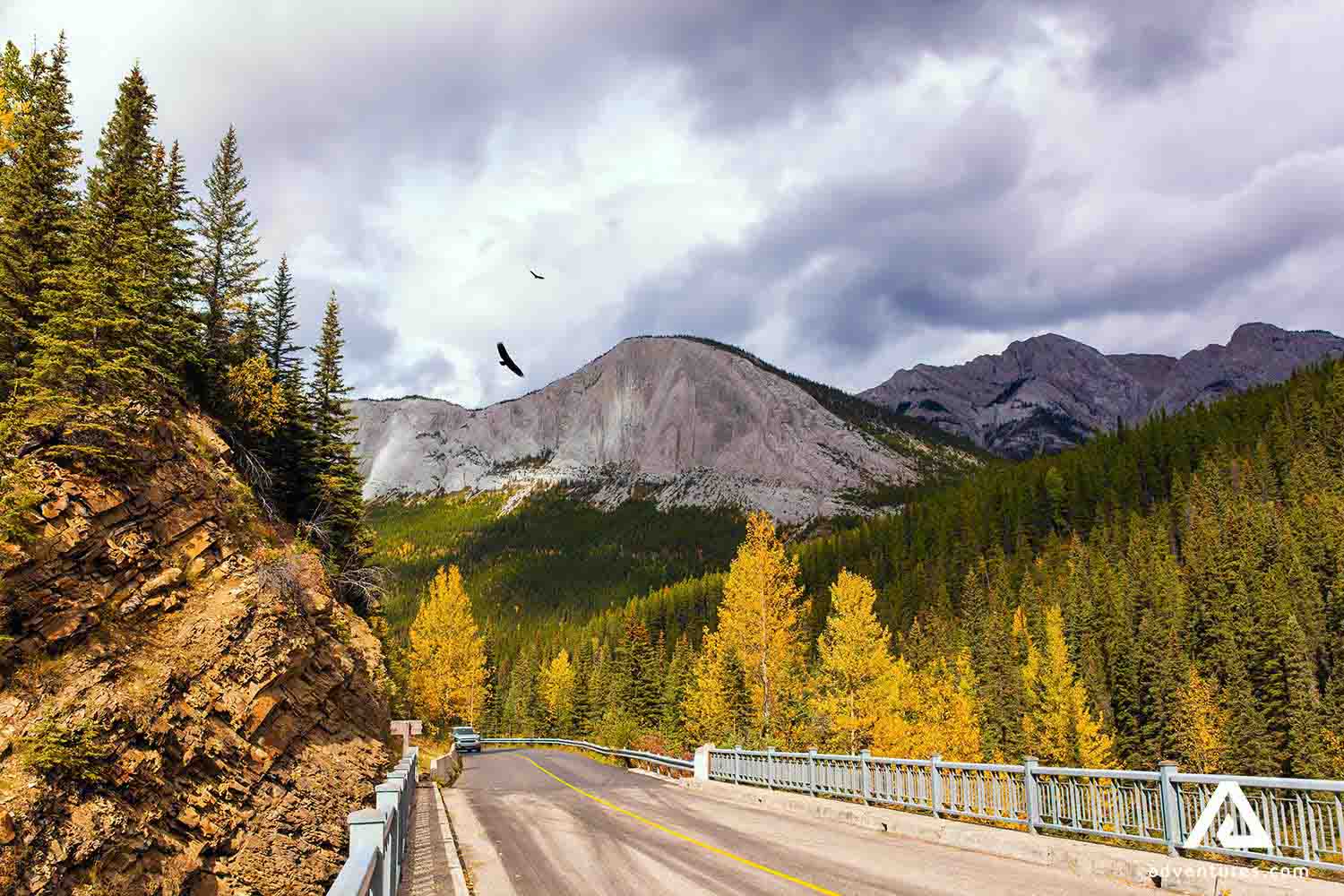 small bridge and a road leading to miette hot springs in canada