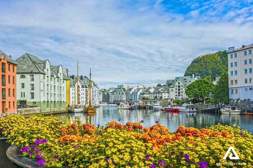 summer flowers near riverside in alesund city