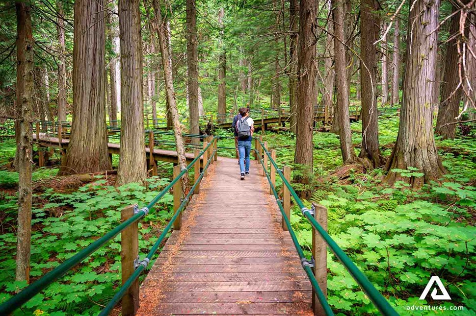 walking through Hemlock Grove Boardwalk forest paths