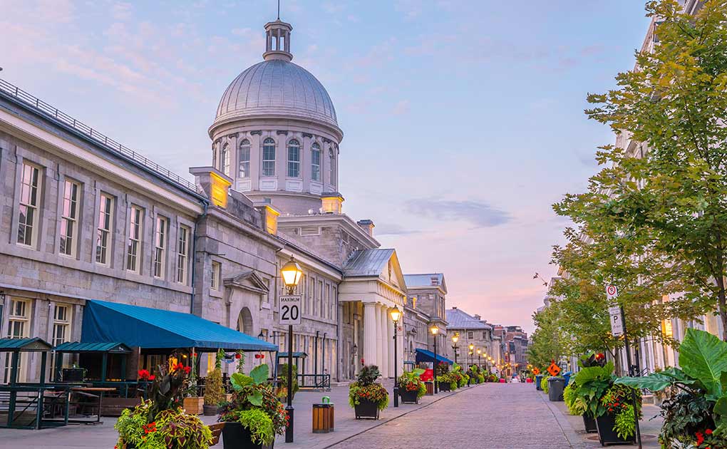 Old Montréal Walking Tours 