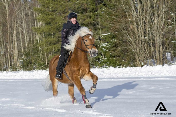 riding a fast horse through snow