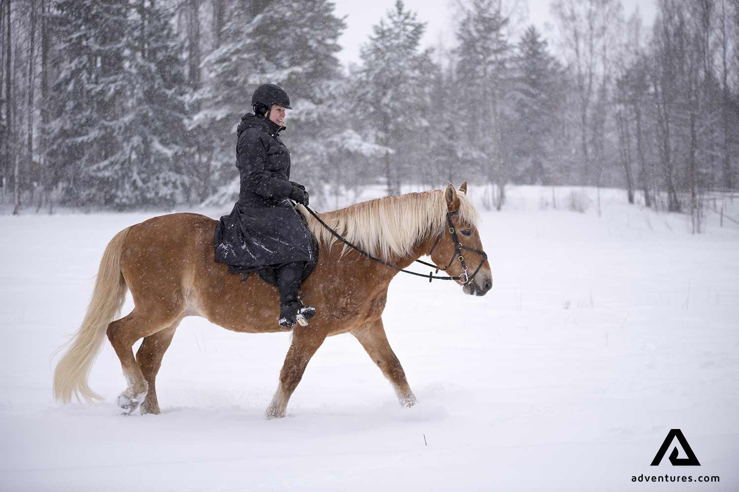riding a horse in a snowstorm in finland