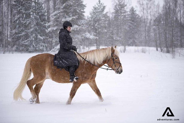 riding a horse in a snowstorm in finland