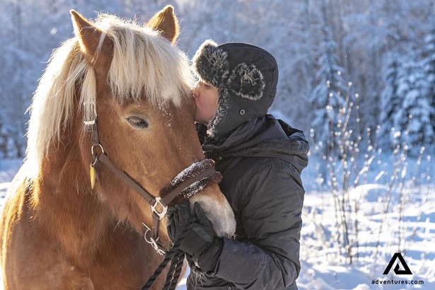 kissing and petting a horse in lapland