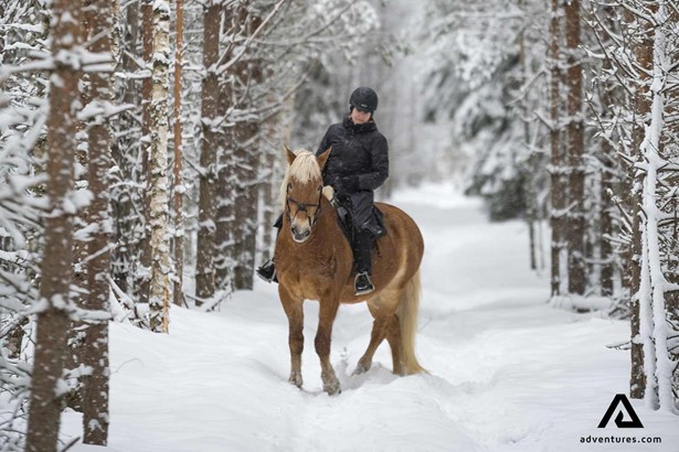 horse riding in a forest at winter