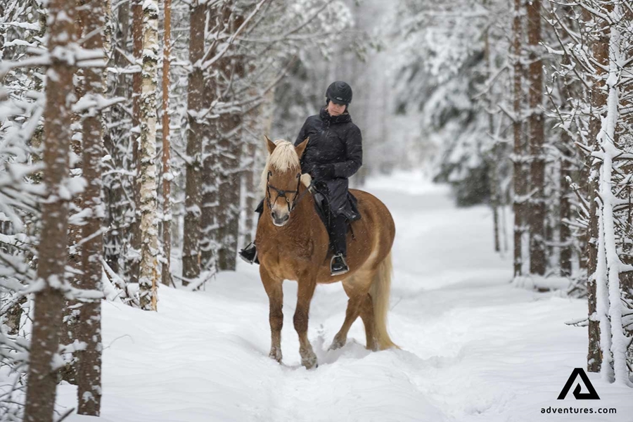 horse riding in a forest