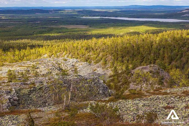 forest view from a mountain top in pyha luosto finland