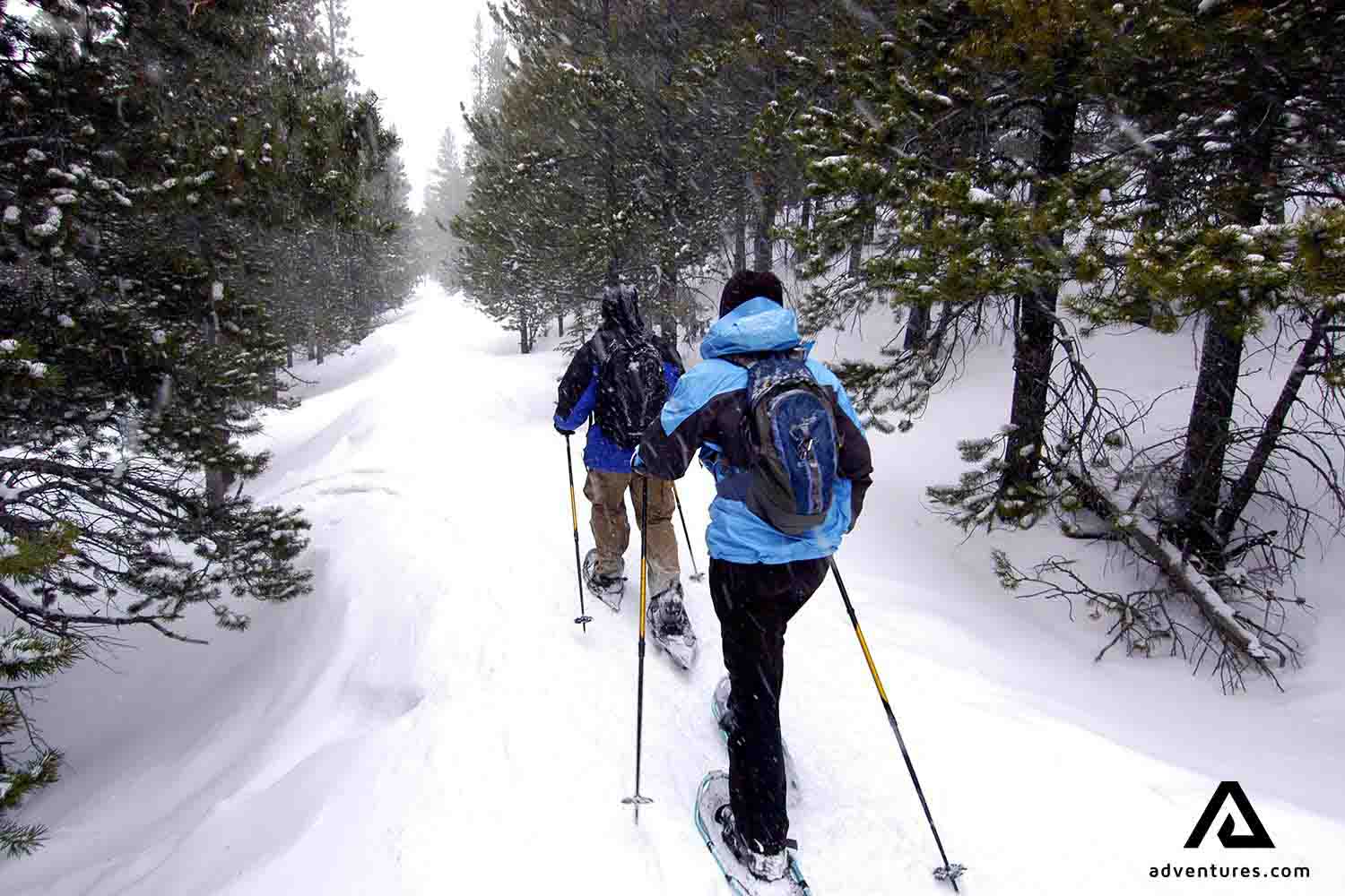 two friends snowshoeing in winter in finland