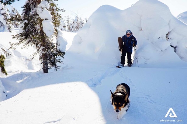 dog and a man hiking through snowy terrain