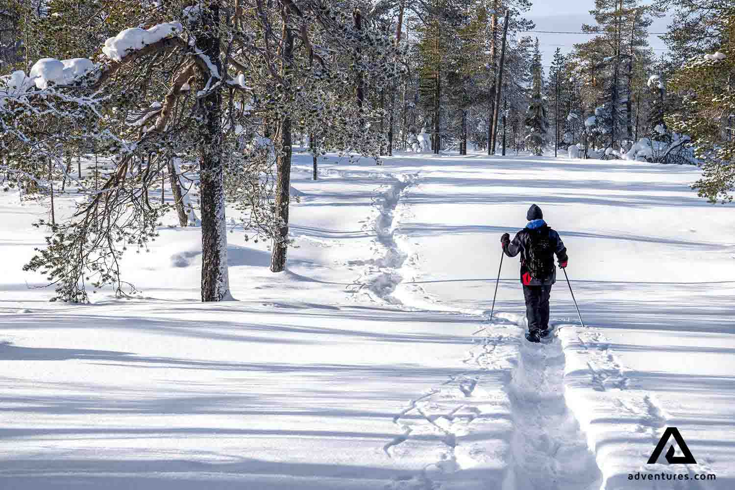 walking through a narrow snowy road in a forest