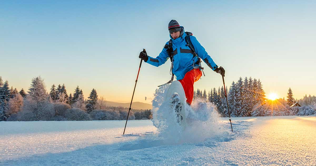 Snowshoe Winter Trek