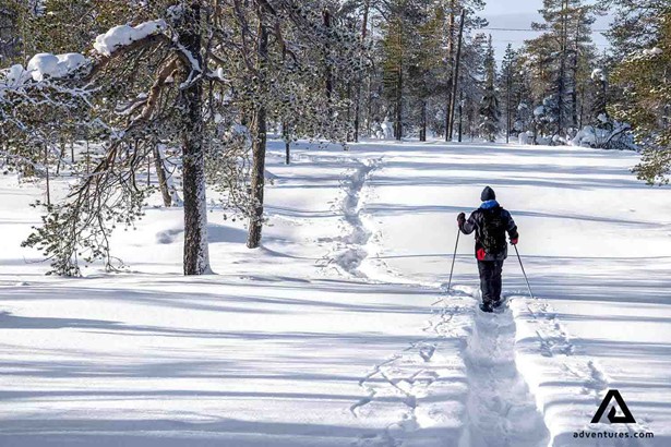 snowshoeing through a forest path