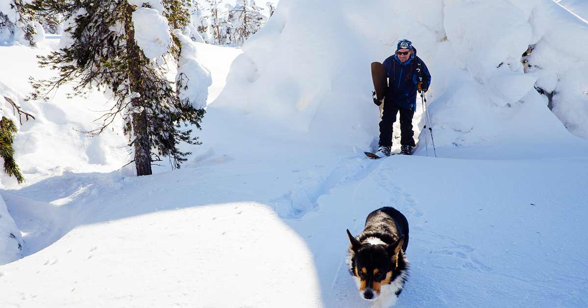 Snow Surfing at the Freerider’s Paradise in the Pyha Area 
