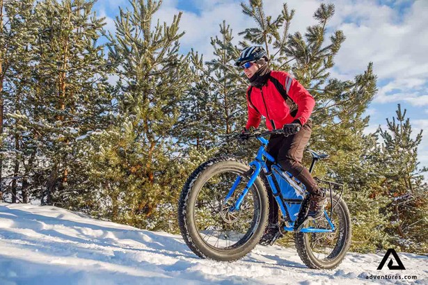 fat biking through a pine forest in winter