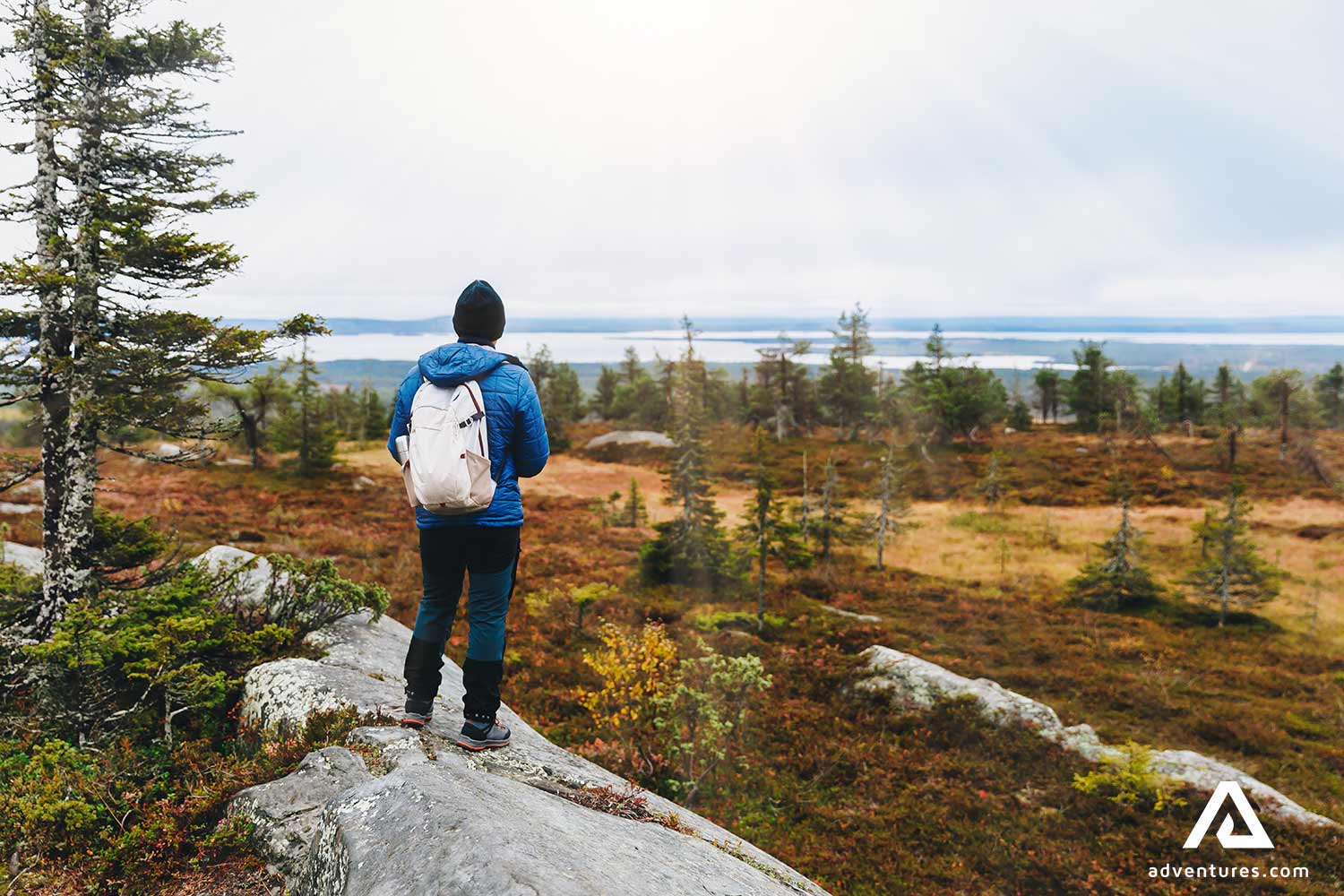 looking over a forest panorama view in finland