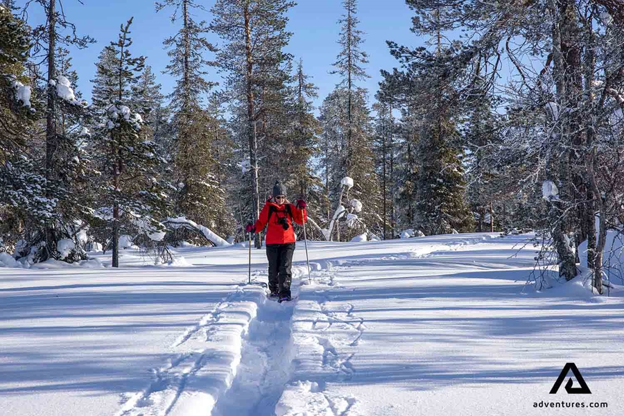 walking with snowshoes in a forest