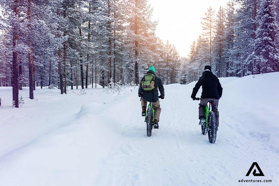 two friends fatbiking in a forest