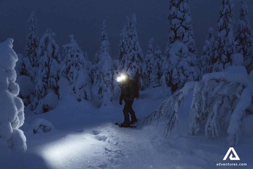 exploring a snowy forest at night
