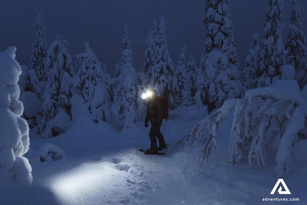 exploring a snowy forest at night in finland