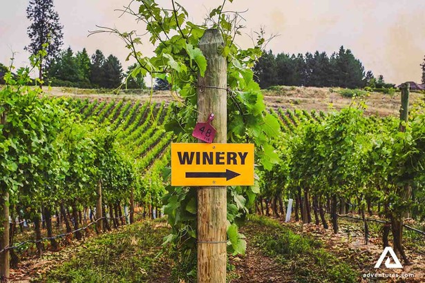 Winery Sign Vineyard