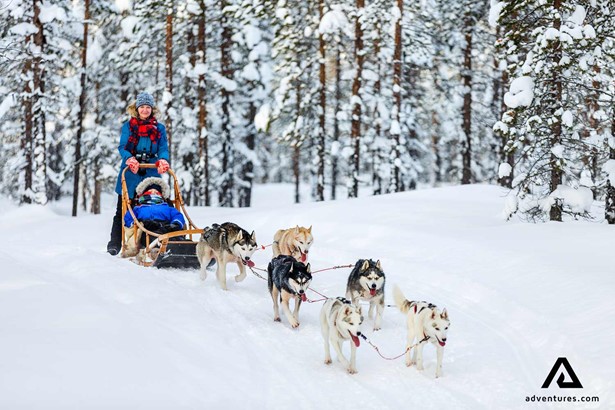 woman and child dogsledding in lapland