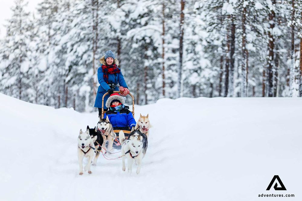 mother and son dogsledding