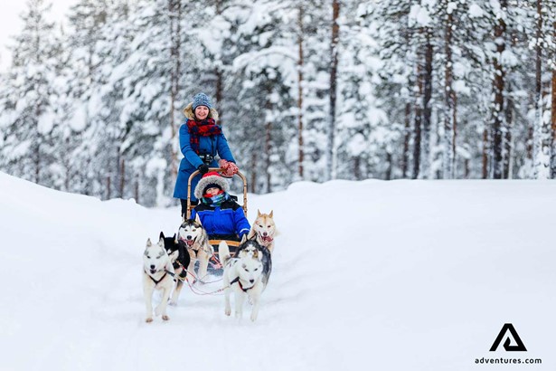 mother and son dogsledding in sweden