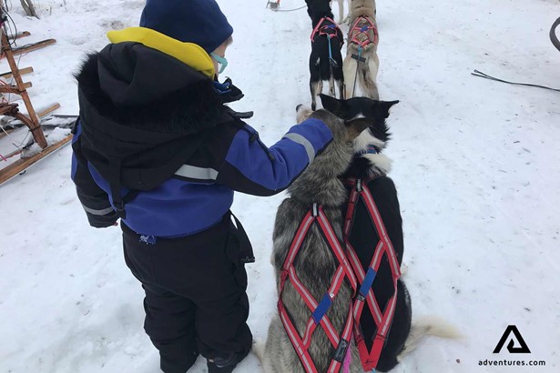 child petting a snow dog