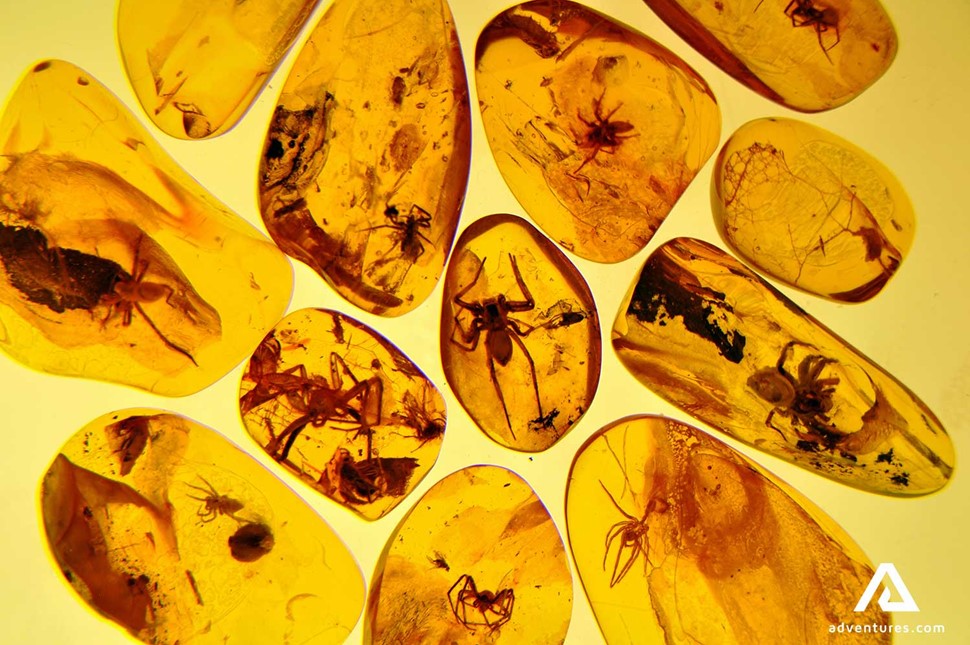 amber exhibition in a musuem in palanga