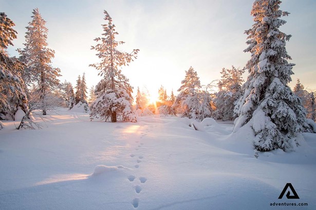 footsteps in snow at sunset