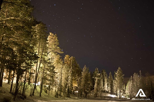 lit up tall trees and night sky in pyha luoste