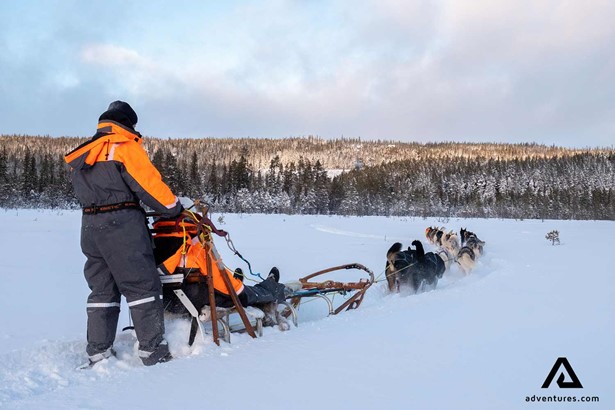 people with bright uniform on a dog sledge in sweden