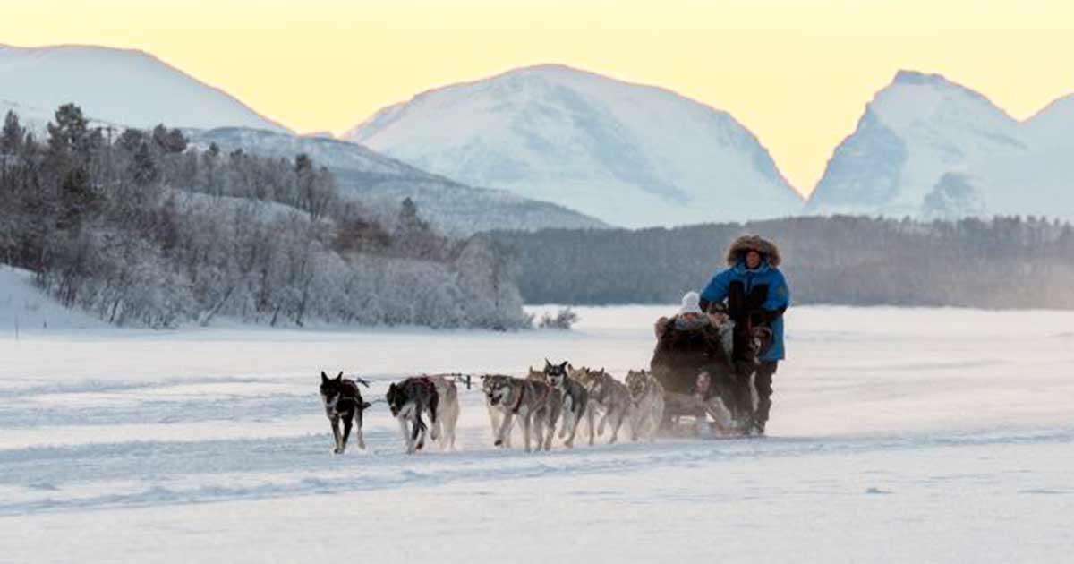 Husky Dream Tour - Drive Your Own Team
