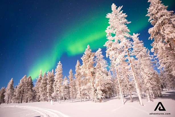 northern lights above a winter forest in finland lapland