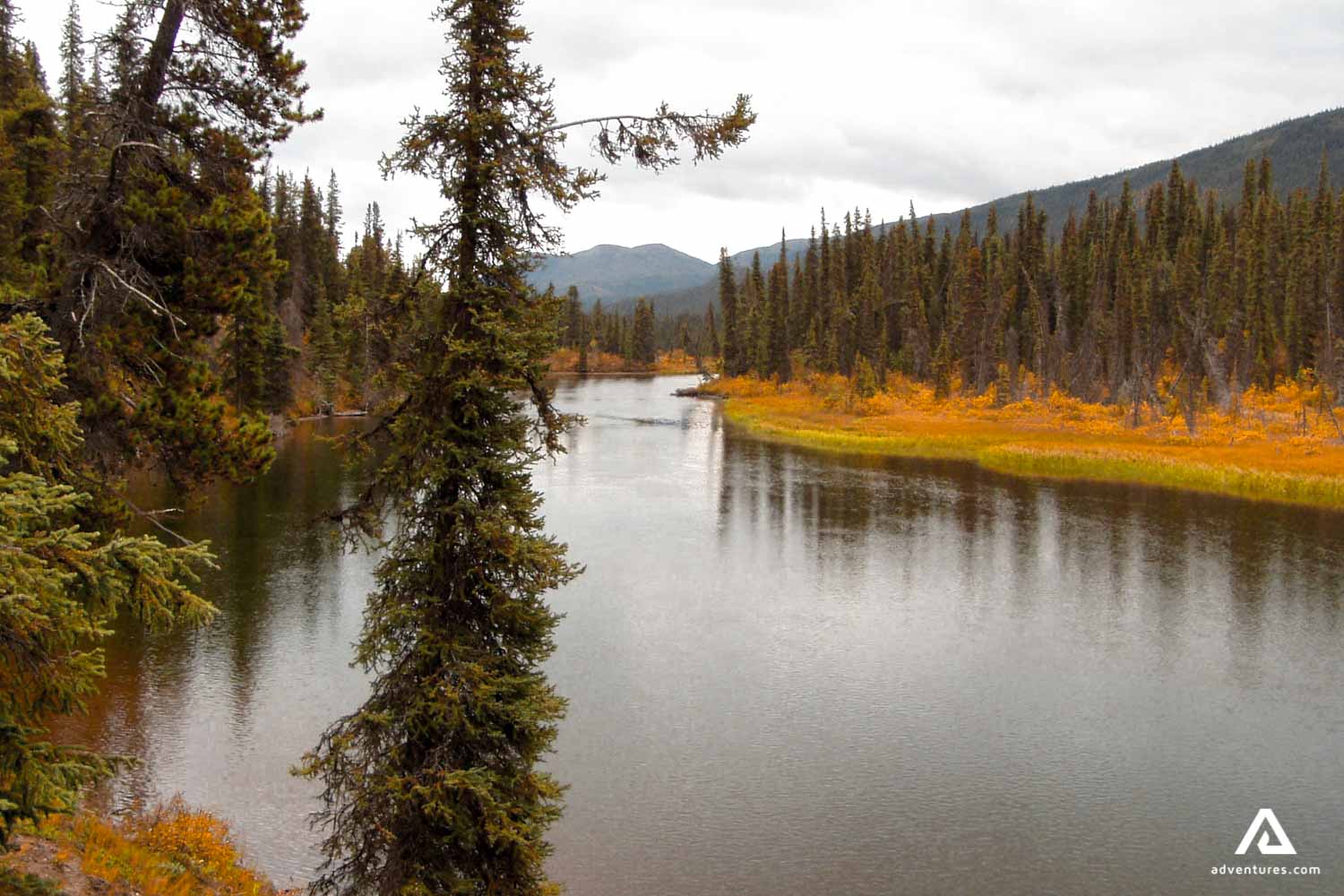 Big salmon river landscape