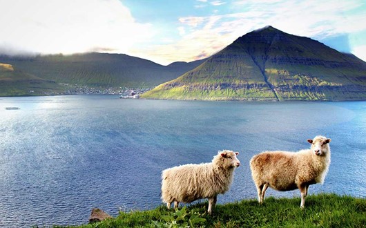 10 Things to Know Before Visiting the Faroe Islands 