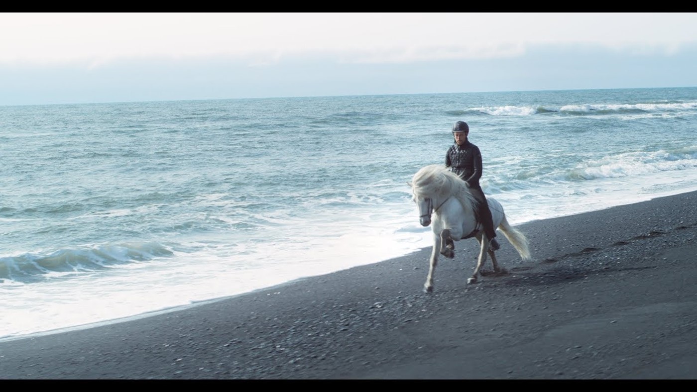 The Horses of Iceland official video