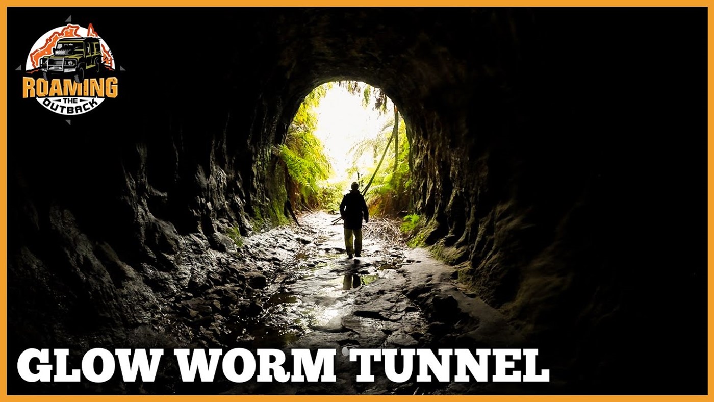 Glow Worm Tunnel - Wollemi National Park - Great Bush Walks