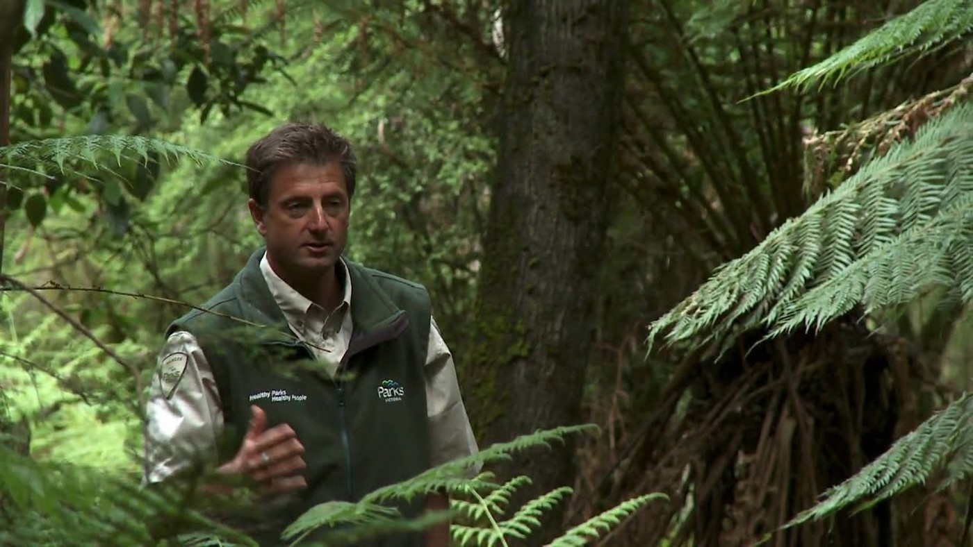 About The Great Ocean Walk, Ranger-in-Charge Will Cox