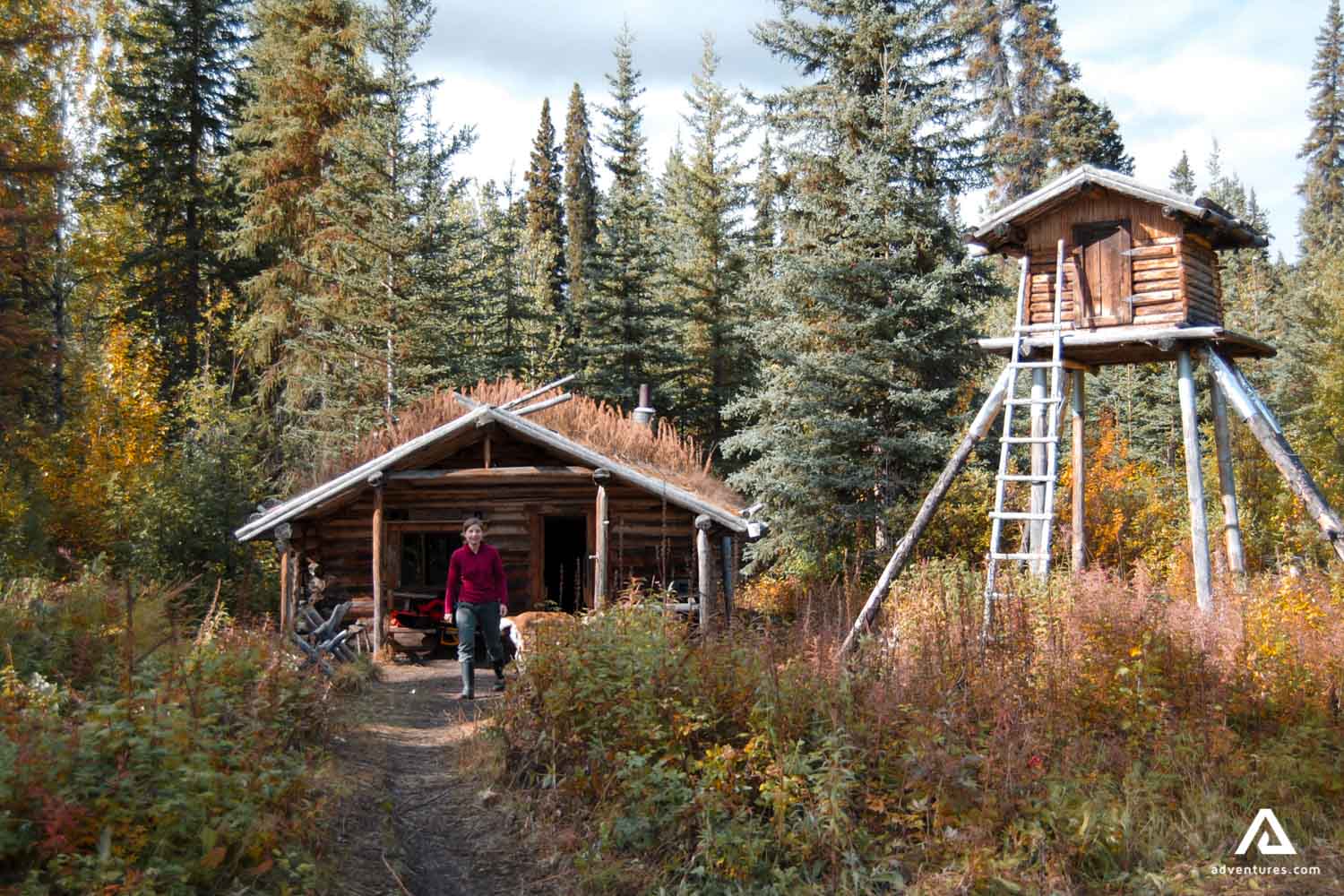 Wooden Lodge in the forest