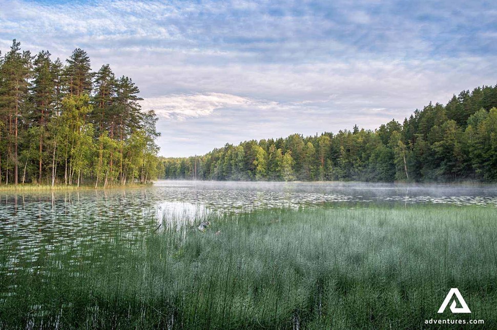 misty lake view in the summer morning in nuuksio national park