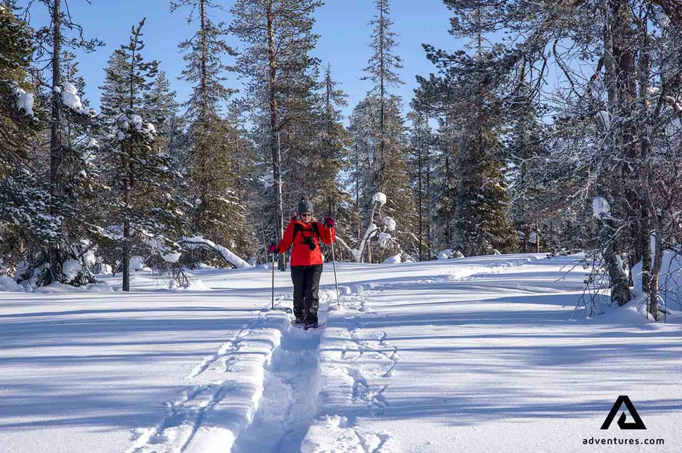 snowshoeing in sunny winter forest view in finland