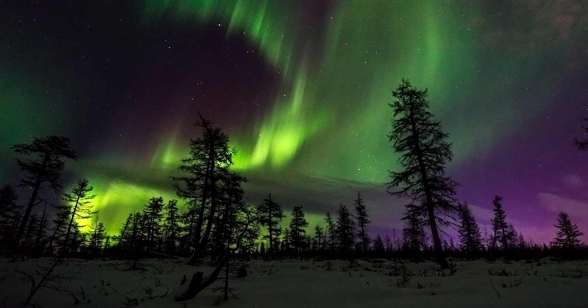 Hunting Northern Lights with Lappish Barbecue  