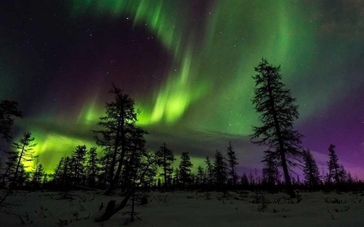 Hunting Northern Lights with Lappish Barbecue  